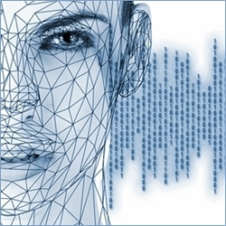 Cara de persona digitalizada