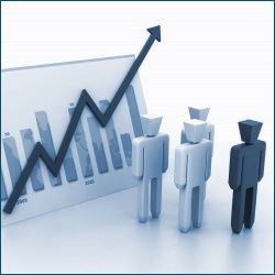 Cliente -Organización- Mercado - Productos/Servicios
